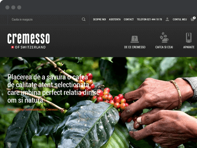 Platforma eCommerce